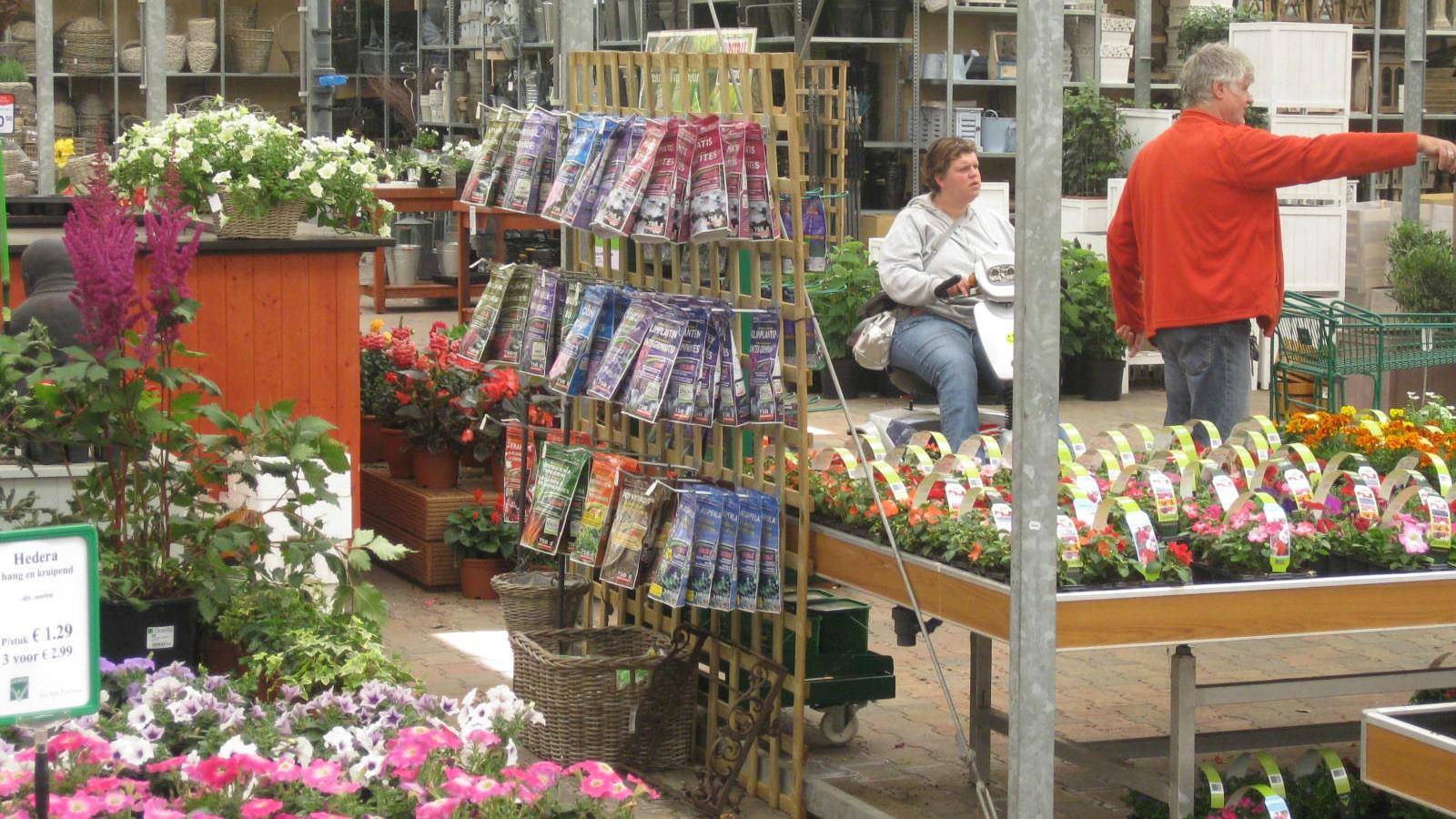 Etalages de fleurs et de plantes vertes dans un centre Groenrijk